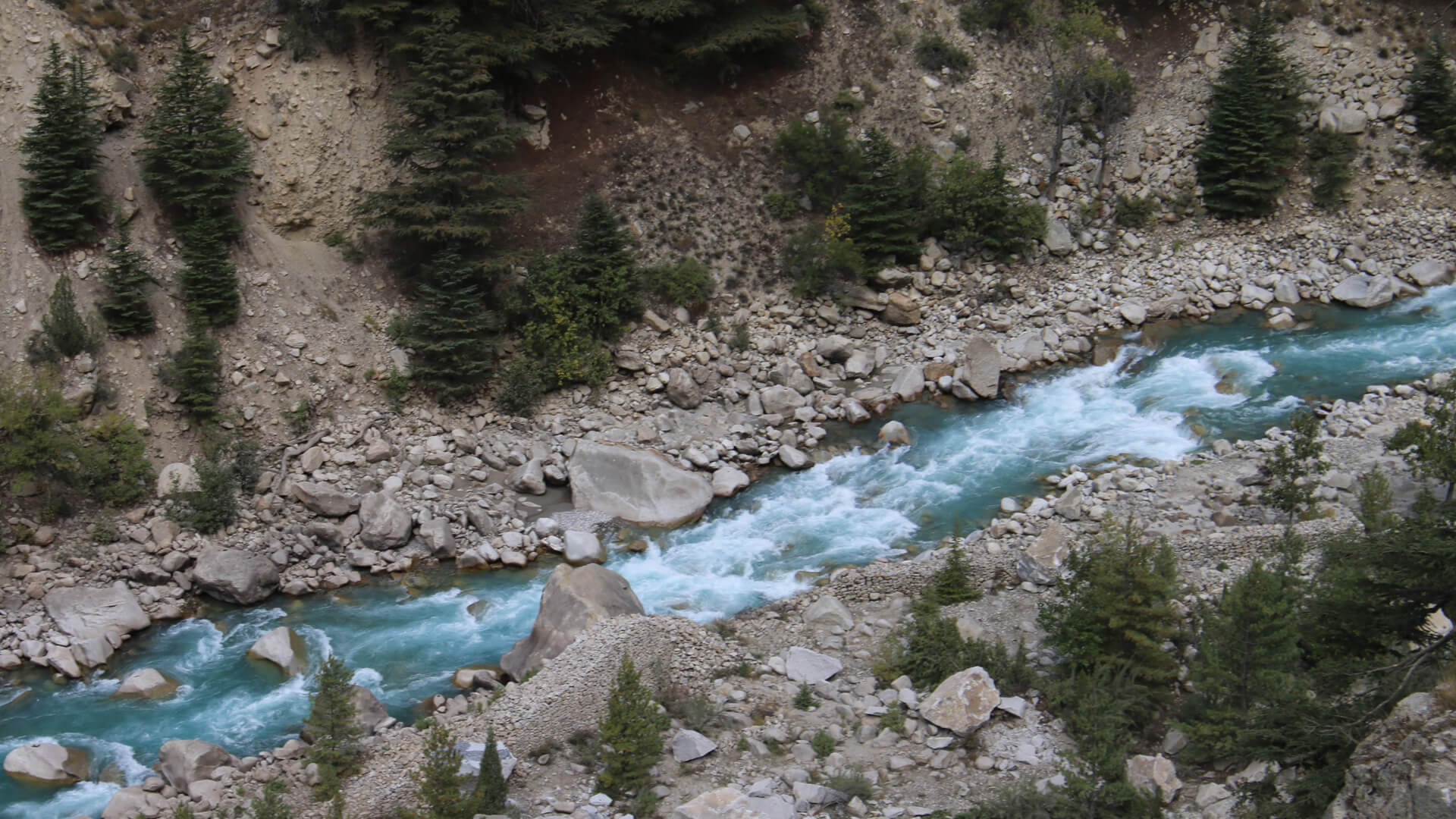 Nelong Valley - The Ladakh of Uttarakhand [All you want to know to visit]